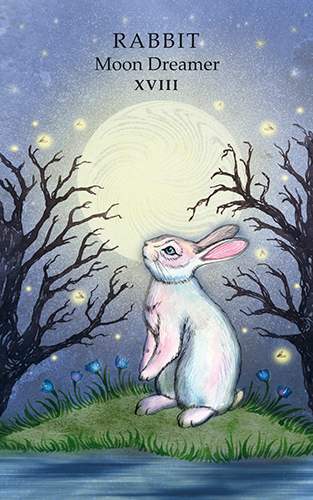 animal-wisdom-rabbit