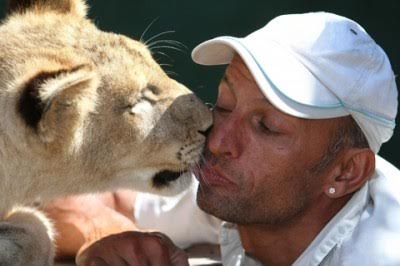 kiss-lion