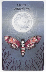 the animal wisdom tarot death card