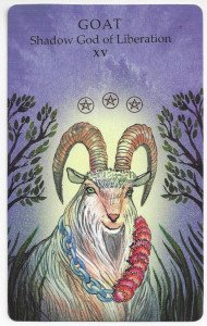 the anima wisdom tarot devil card