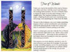 Two of Wands