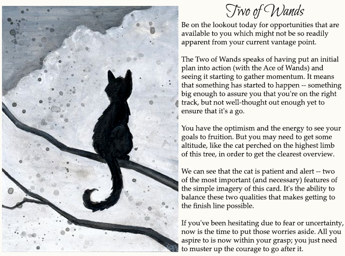 Two of Wands