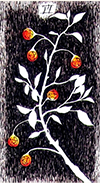 Six of Pentacles