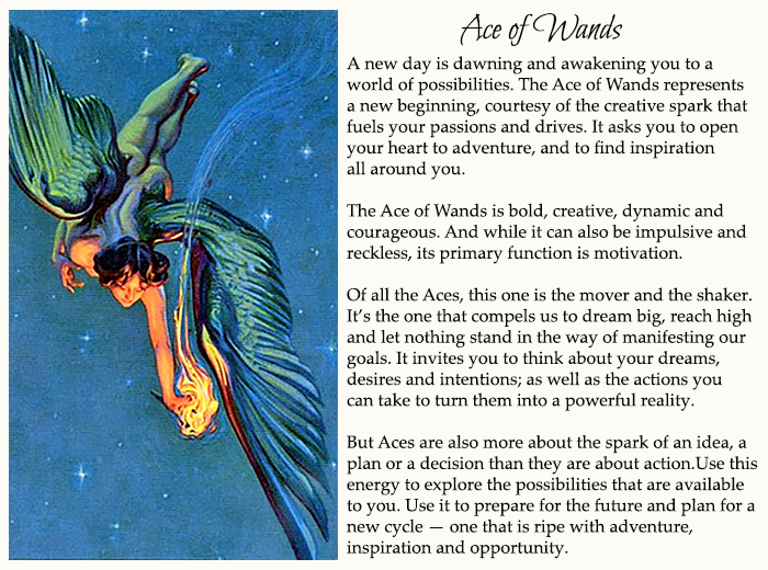 ace of wands