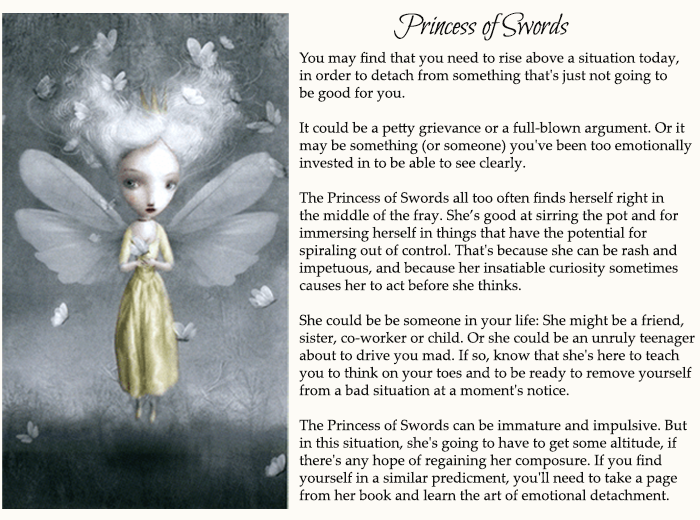 Princess of swords