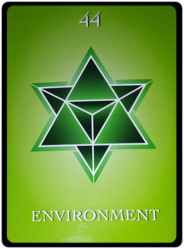 environment