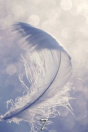 white-feather